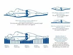 Familon Zone Joustinsänky 120x200 Cm, Kitti -Muut kalusteet Myynti 2023 zone2 1